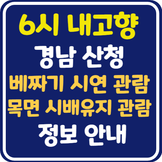 6시 내고향 산청 베짜기 시연 관람 및 시배유지 관람 정보 안내