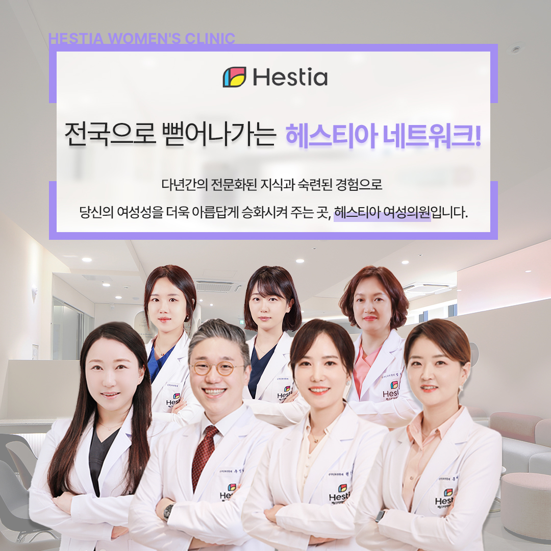 헤스티아 네트워크