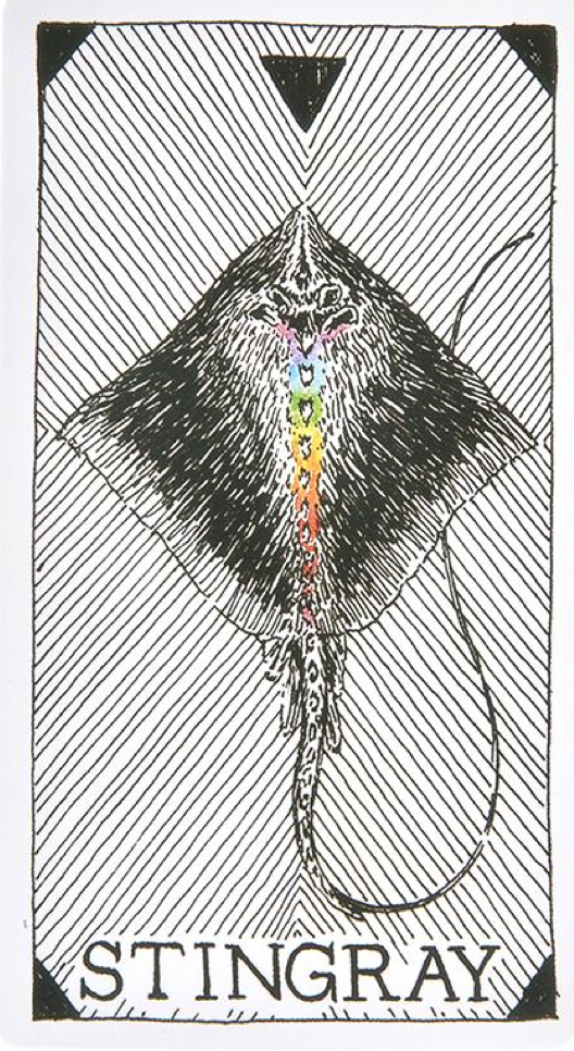  [오라클 카드배우기/와일드언노운애니멀스피릿]The Wild Unknown Animal Spirit Stingray 가오리 해석 및 의미