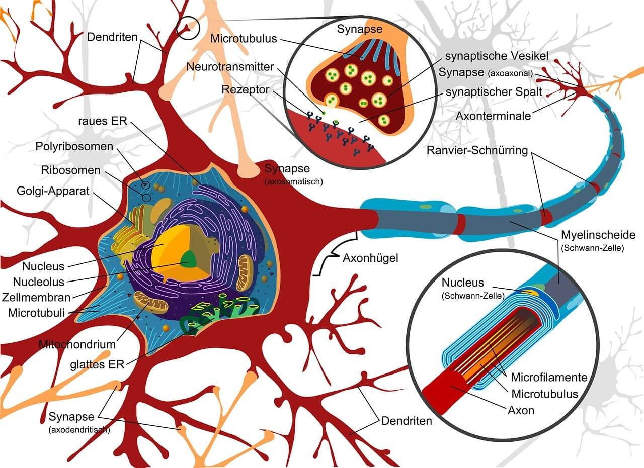 Types-of-neuralgia