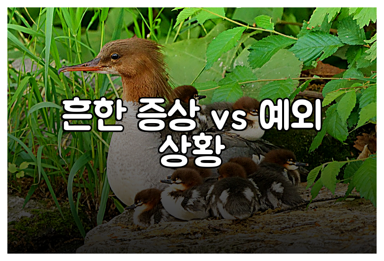흔한 증상 vs 예외 상황