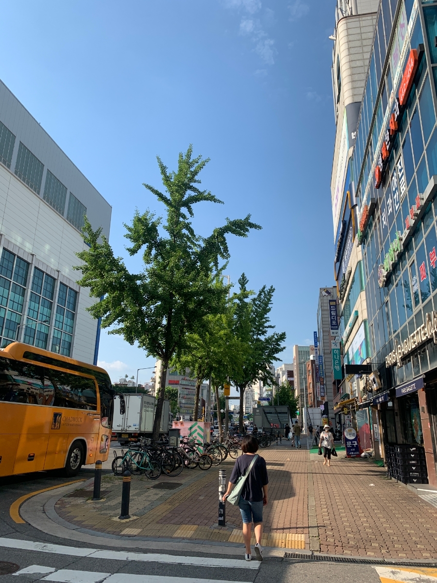 컷트의집 이미지