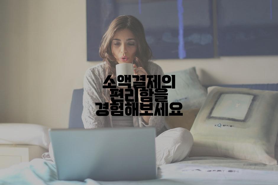 소액결제의 편리함을 경험해보세요