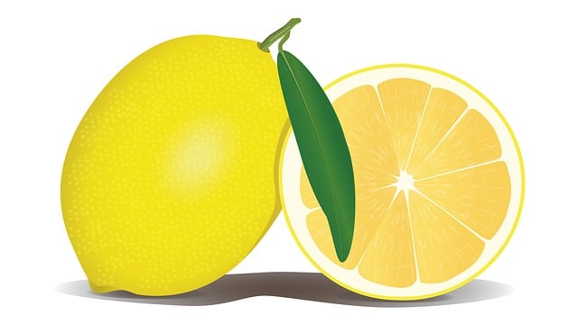 비타민c 레몬