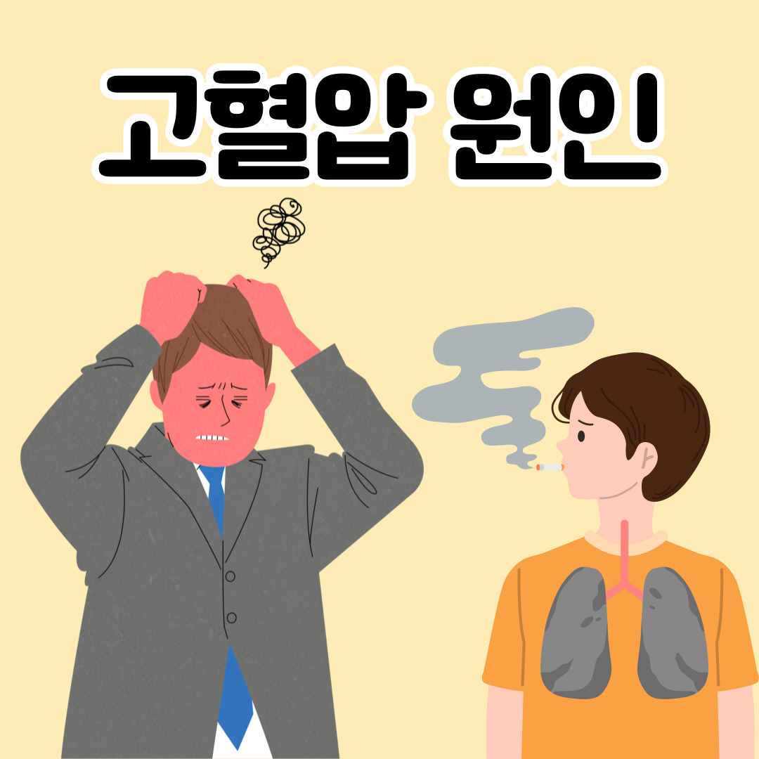 고혈압원인-원인