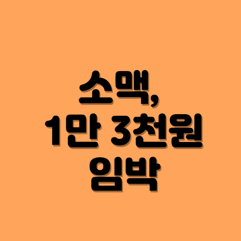 2023.소주값인상.맥주값인상.소맥.1만3천원시대