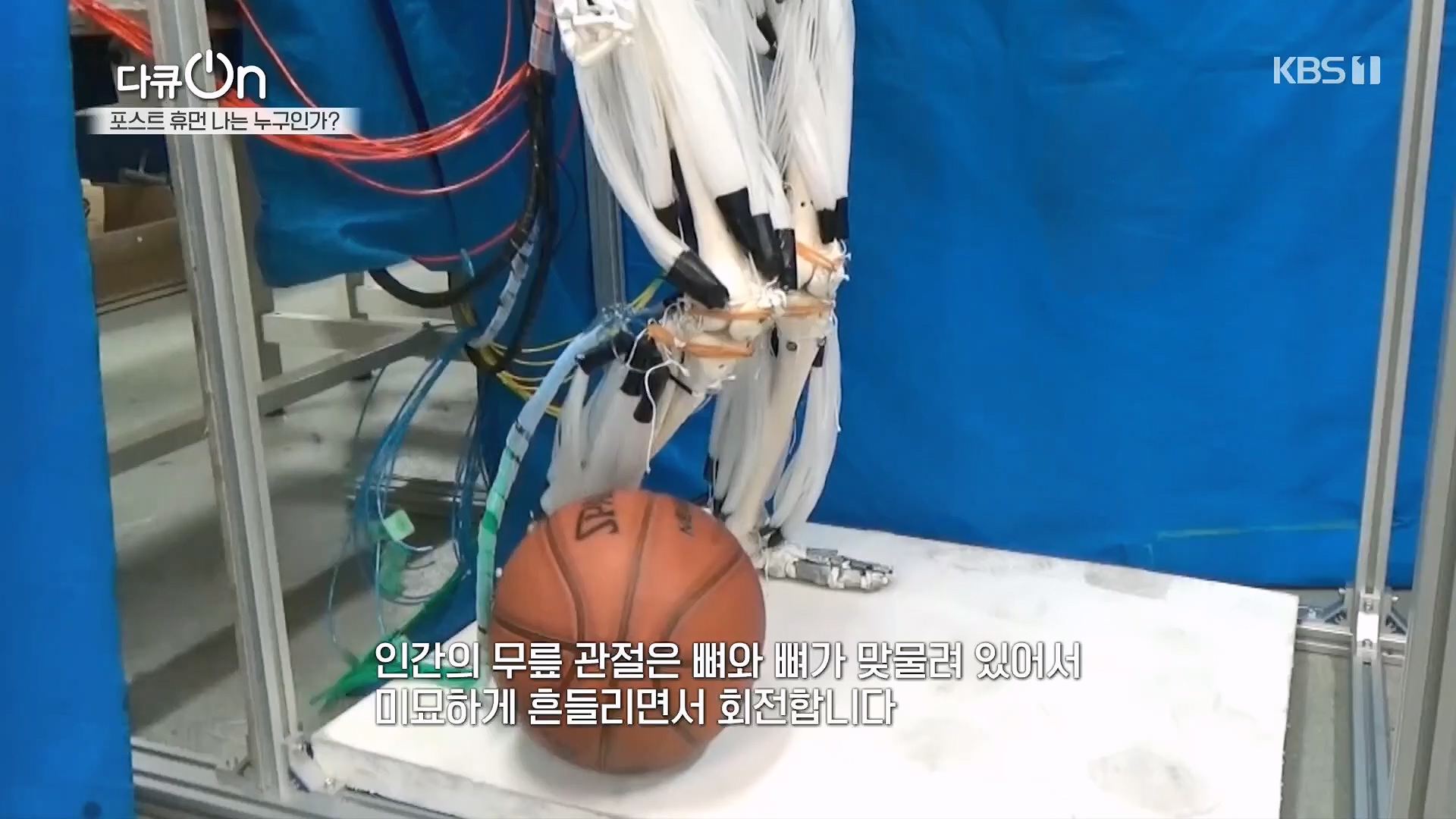 다큐 On.E196.230428p.H264-F1RST.mp4_20230430_175515.062.jpg