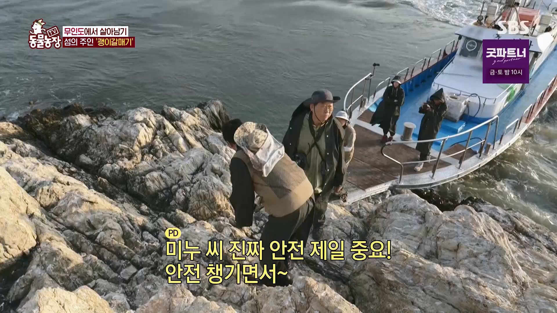 TV 동물농장.E1180.240714p.H264-F1RST.mp4_20240715_201728.015.jpg