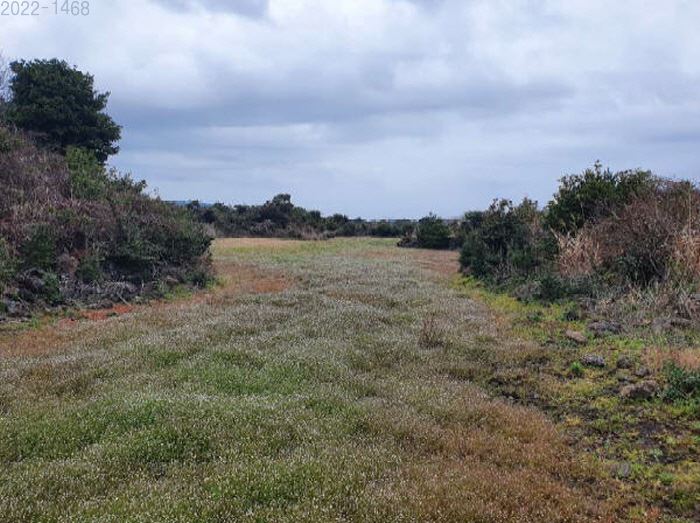 제주도 토지경매 임야경매 서귀포시 4