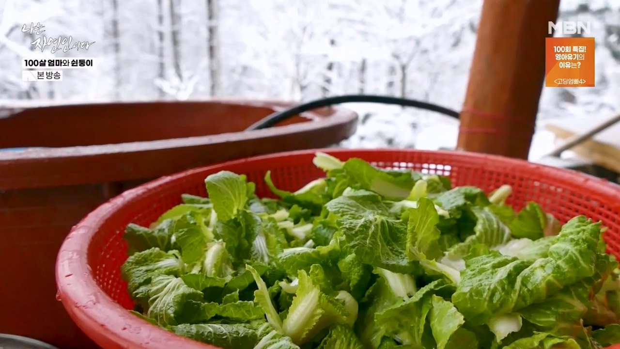 나는 자연인이다.E597.240314p-NEXT.mp4_20240314_195528.077.jpg