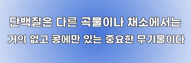  단백질은 다른 곡물이나 채소에서는 거의 없고 콩에만 있는 중요한 무기물이다
