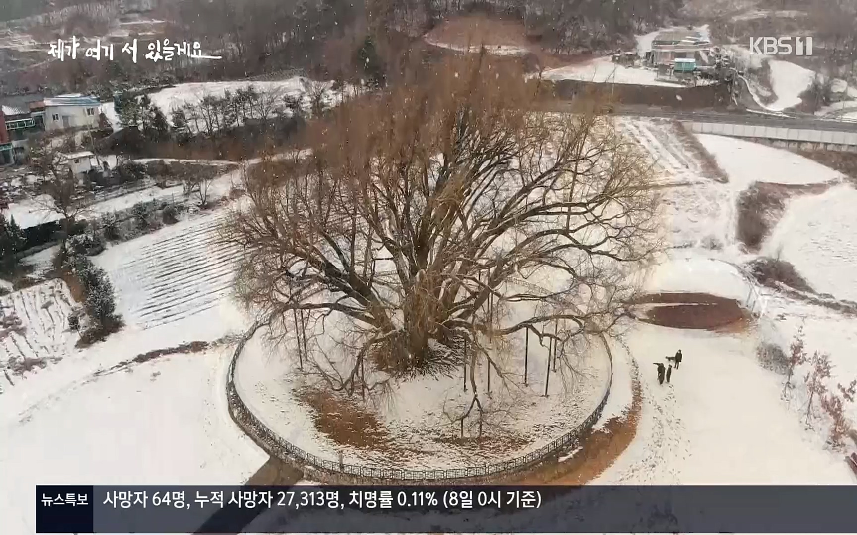 다큐 인사이트.E124.220908p.H264-F1RST.mp4_20220912_143735.358.jpg