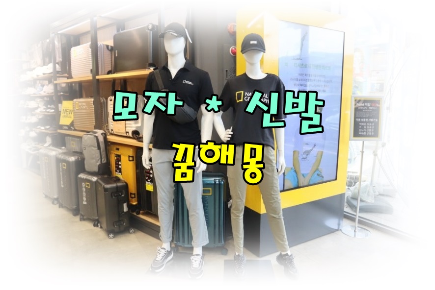  [무료꿈해몽]'모자'*'신발' 꿈;신발닦는꿈,하이힐뒤굽이부러진꿈,신발구입하는꿈,더러운신발꿈,전투모꿈,굴건꿈,왕관,월계관,족두리꿈,갓쓴꿈,학사모쓰는꿈,두건꿈해몽 등.