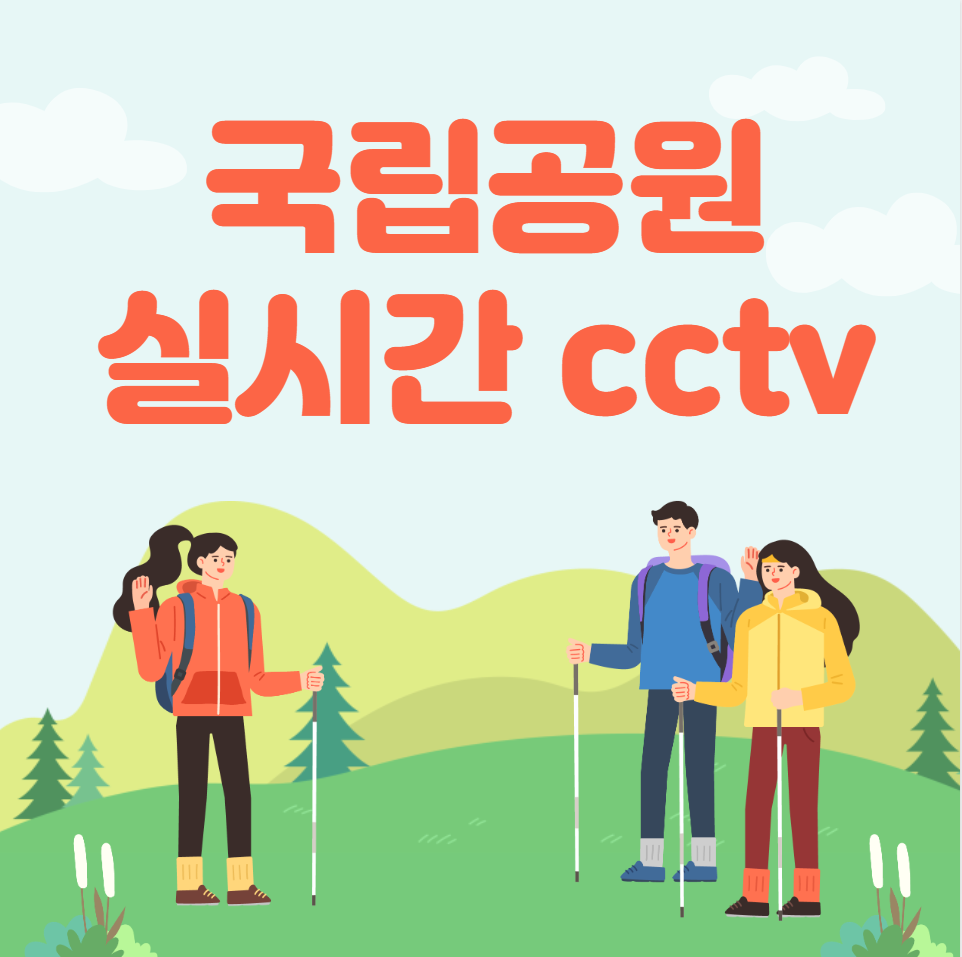  국립공원 실시간 cctv (바로가기)