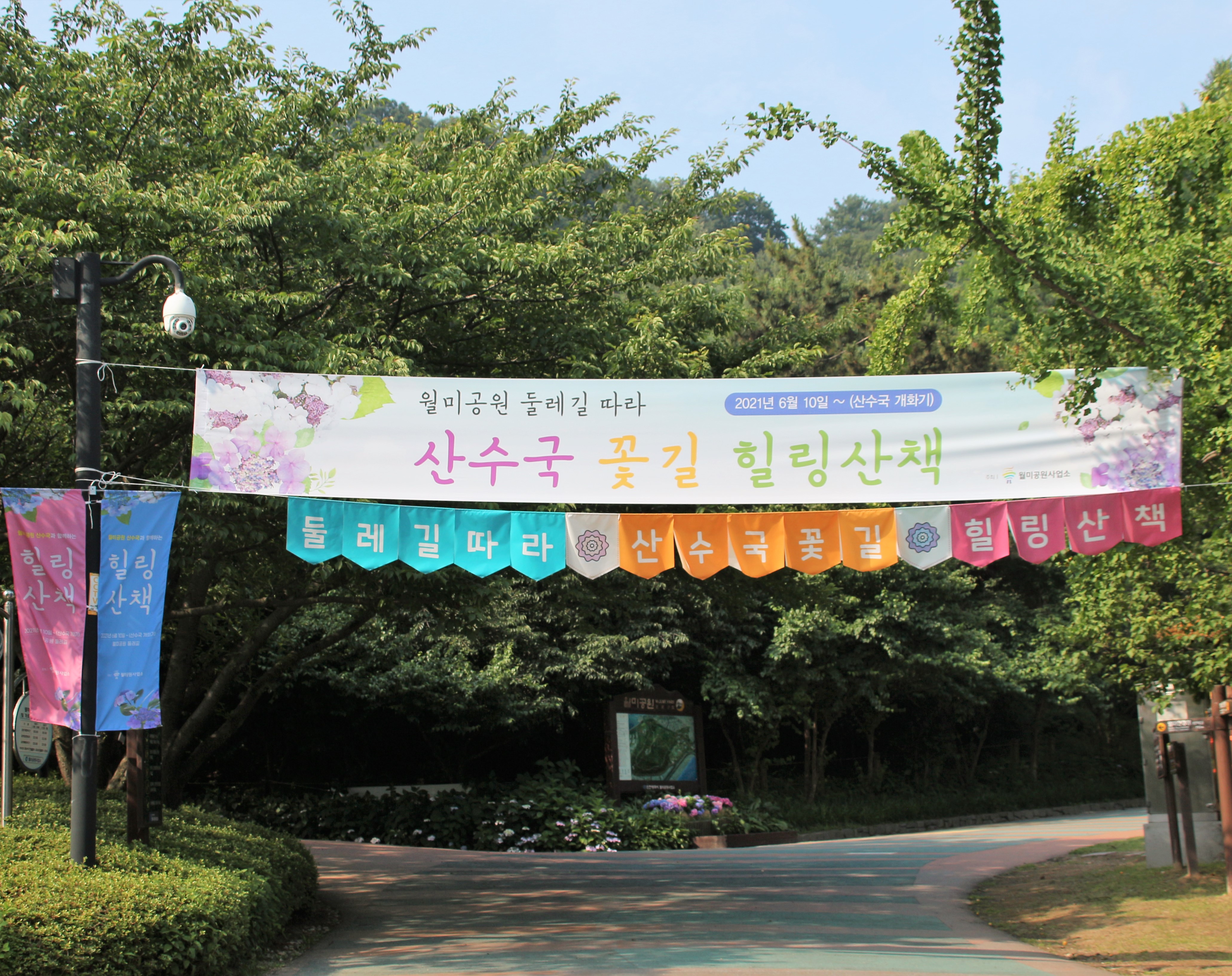  월미산 산수국 꽃길과 소소한 풍경들이 함께하는 힐링산책...!!!