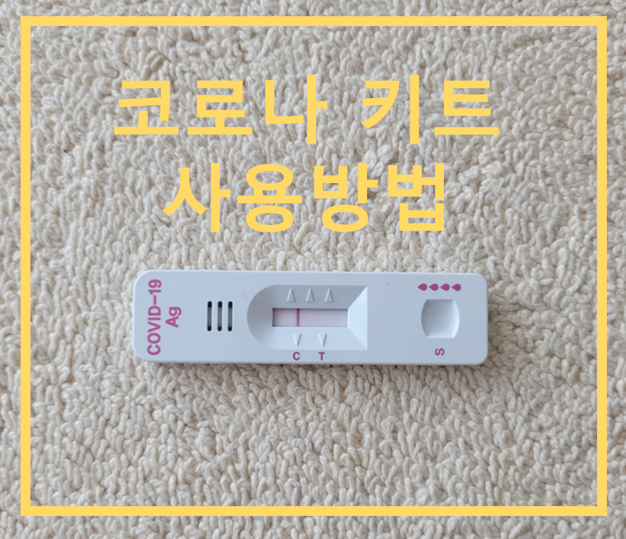  코로나 자가검사 키트 사용 후기 :: PCR, 신속항원검사, 약국키트 비교