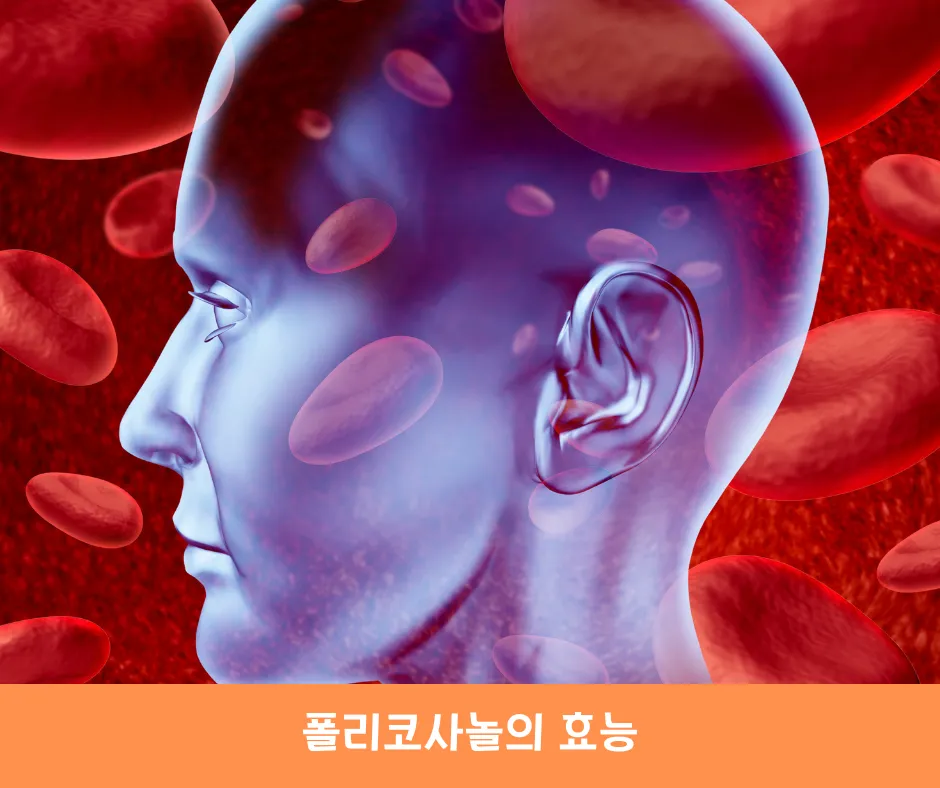 폴리코사놀의 효능