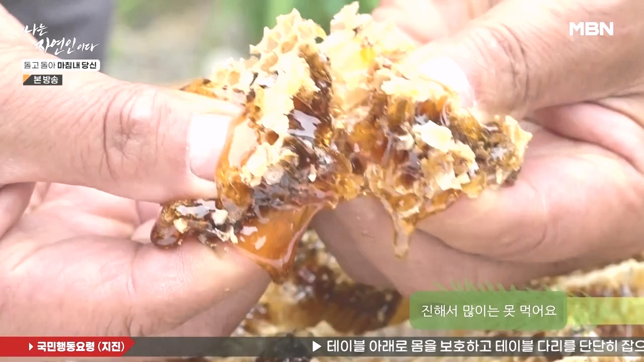 나는 자연인이다.E577.231026p-NEXT.mp4_20231026_200403.233.jpg