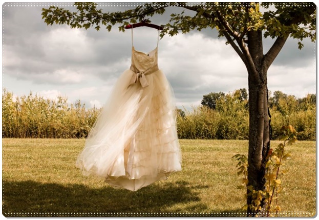 결혼하는꿈 연예인 3