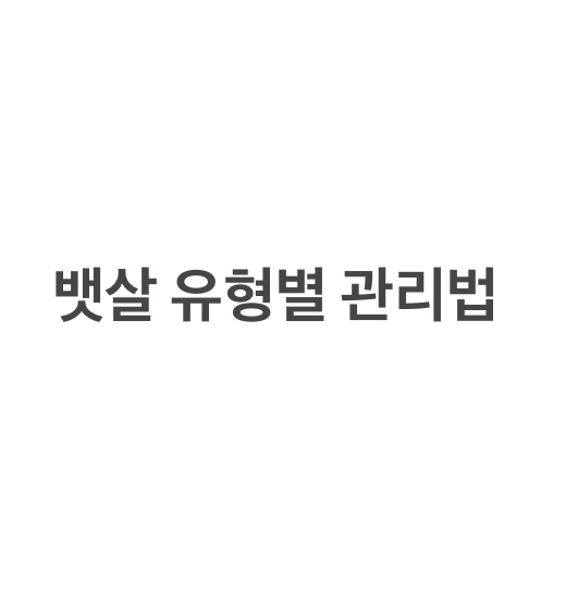  뱃살 유형별 관리법