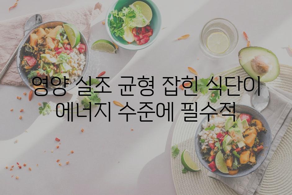 영양 실조 균형 잡힌 식단이 에너지 수준에 필수적