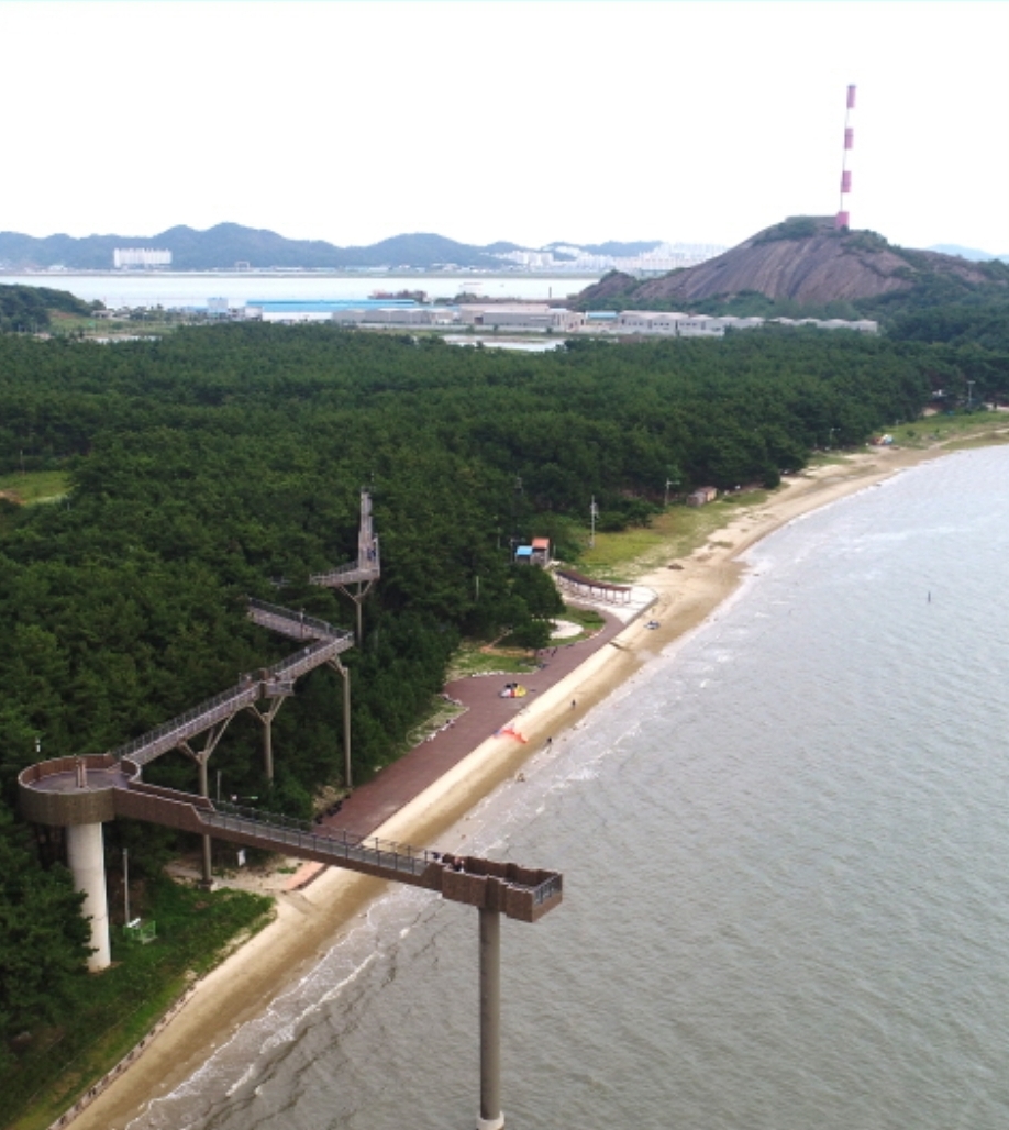 서천 장항 스카이워크 이미지