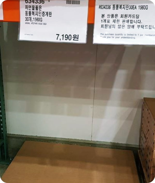  고 병원성 AI로 계란 수급 대란 우려