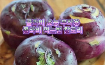 콜라비_효능_칼로리_부작용