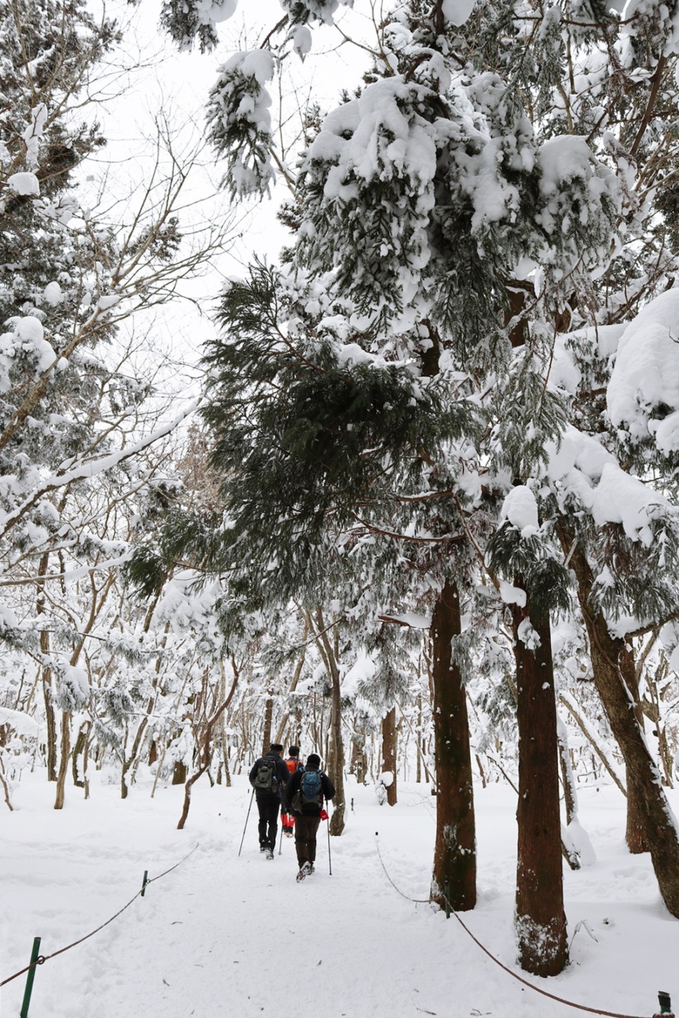 눈쌓인 겨울산 이미지 6