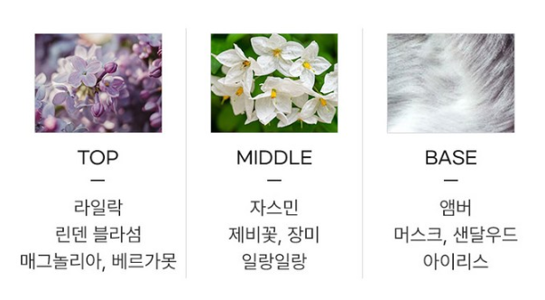엘리자베스아덴 5번가 오드퍼퓸&amp;#44; 30ml&amp;#44; 1개 