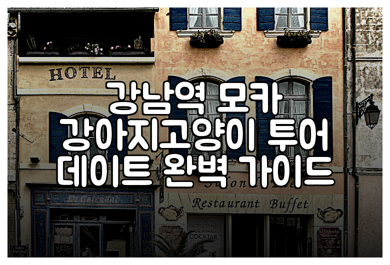 강남역 모카 강아지고양이 투어 데이트 완벽 가이드