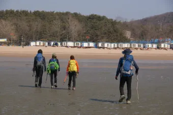 서울 수도권 인기 취미 동호회 추천_15
