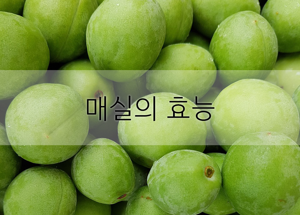  매실의 효능에 대해 알아보자