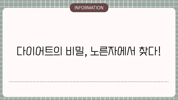 다이어트 노른자