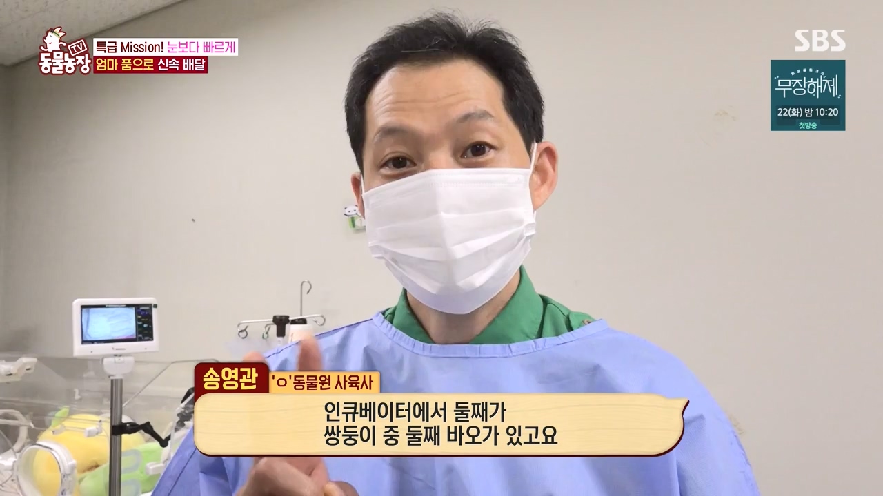 TV 동물농장.E1134.230821p-NEXT.mp4_20230820_193345.367.jpg