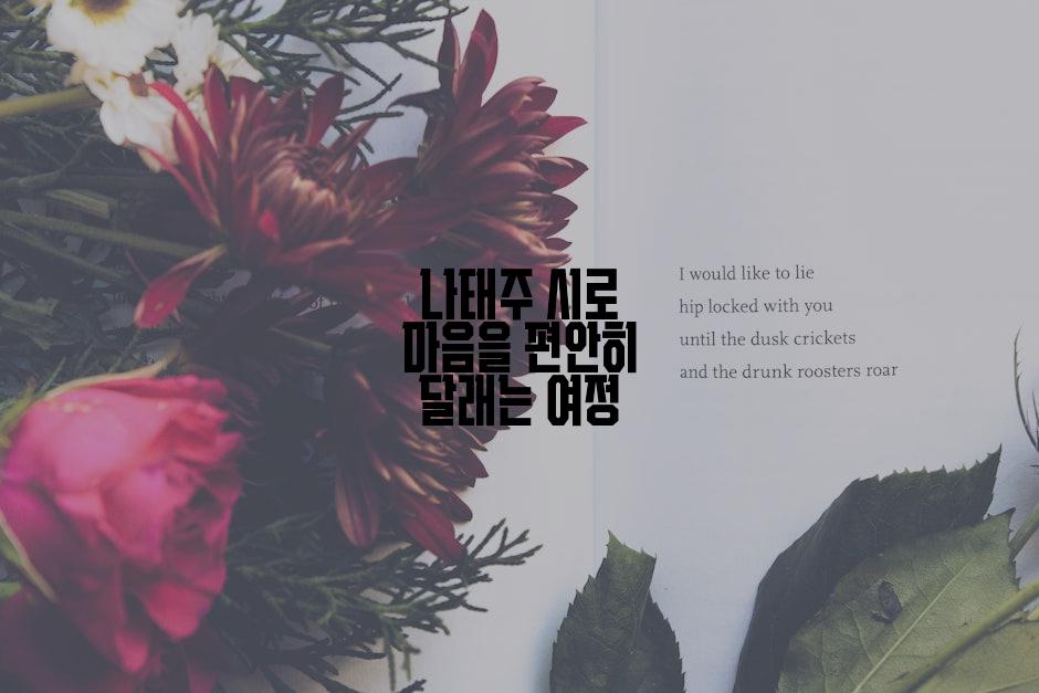 나태주 시로 마음을 편안히 달래는 여정