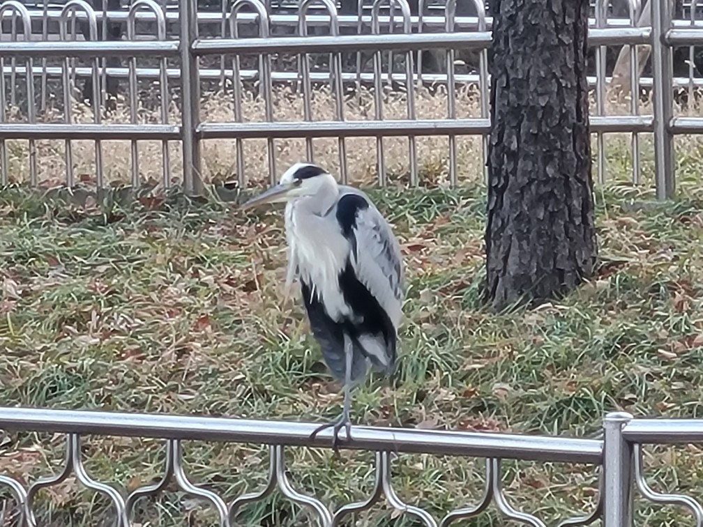 대구 여행 성당못