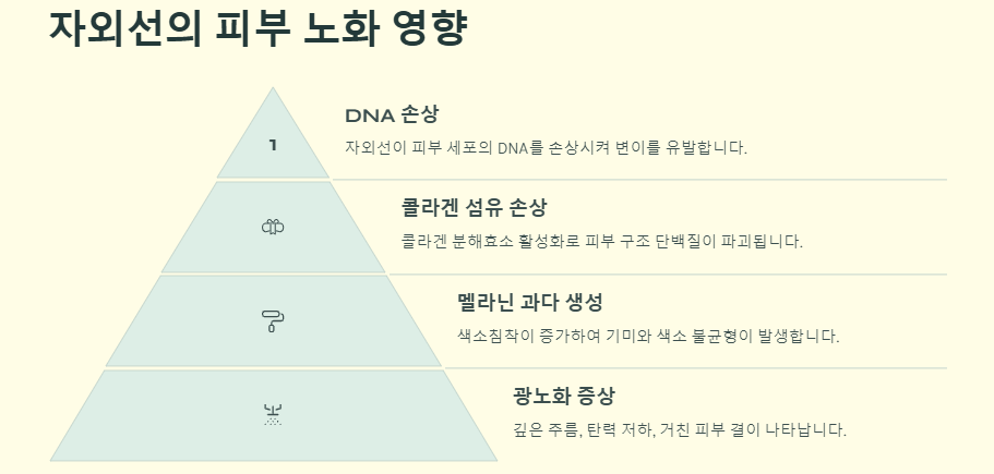 피부 노화 원인 및 예방법(방지비법)