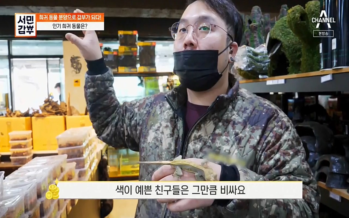 서민 갑부.E381.220431p-NEXT.mp4_20220501_180706.681.jpg