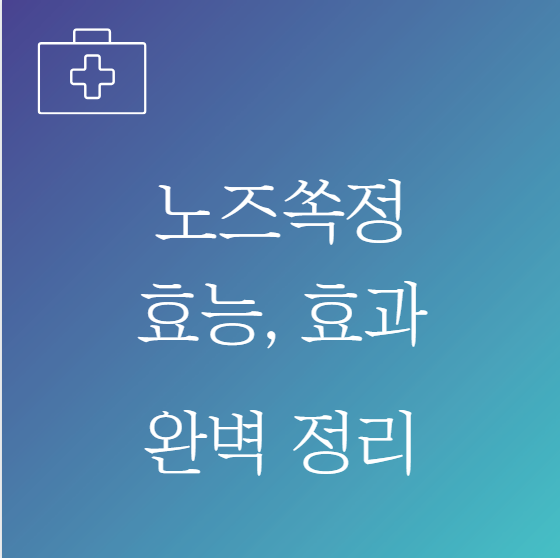 노즈쏙정