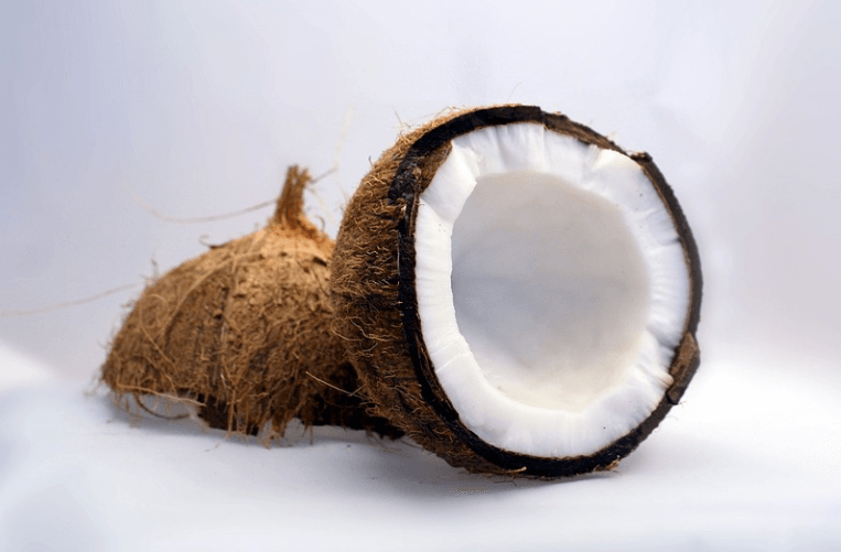 쪼개진-코코넛