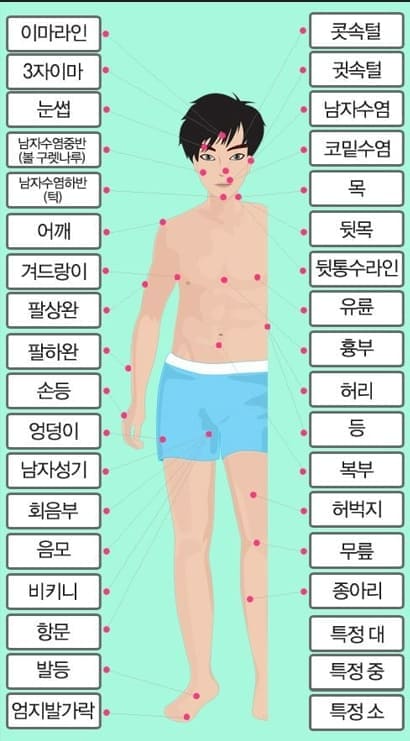 털은 언제까지 자라나