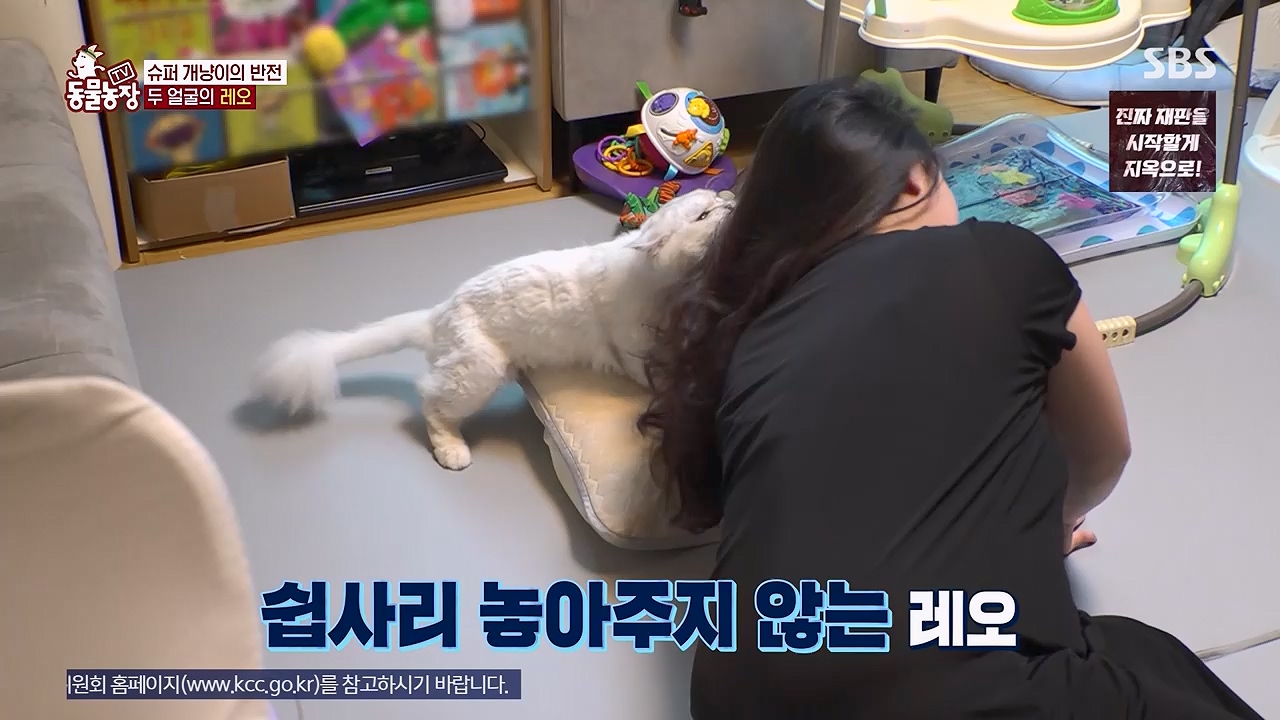 TV 동물농장 1189화 다시보기.ts_20240922_161939.353.jpg