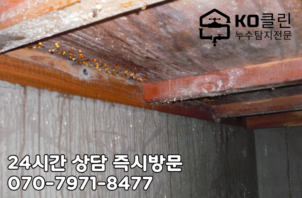 문정역 누수 탐지와 해결2