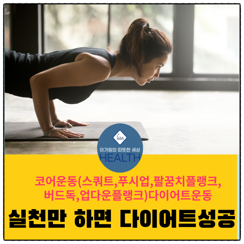  코어운동(스쿼트,푸시업,팔꿈치플랭크,버드독,업다운플랭크)다이어트운동