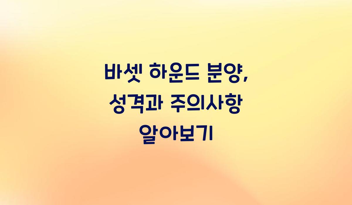 바셋 하운드 분양