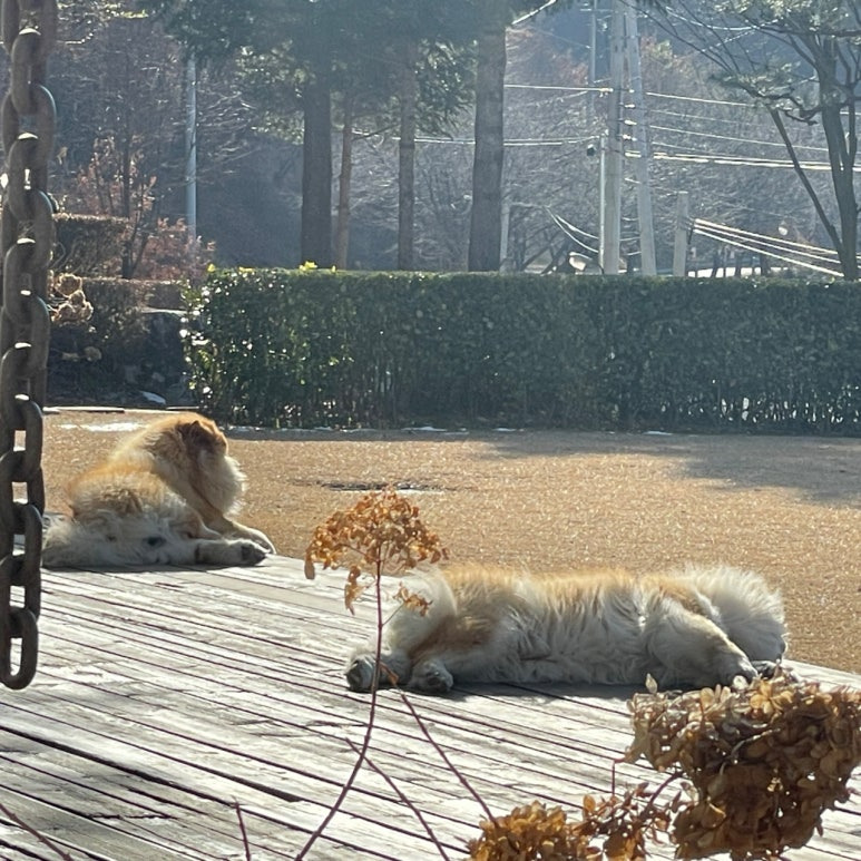 명품갤러리 이미지