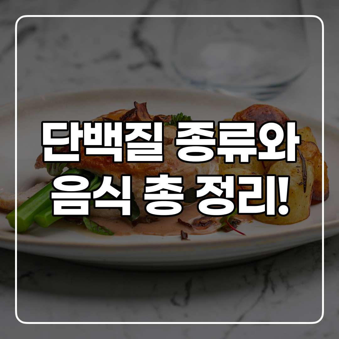  몸에 좋은 단백질 종류 상세한 정리!