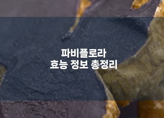 파비플로라 효능 정보 총정리
