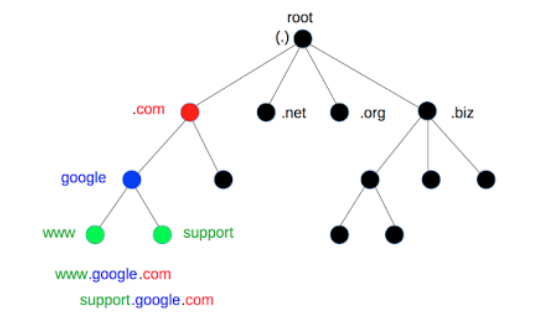 Root DNS 서버